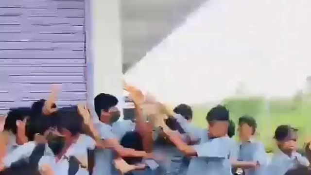 Real school fight