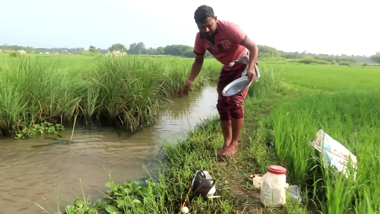 Fishing Video 00 || Nice to see the incredible fishing scene of the village boy ...