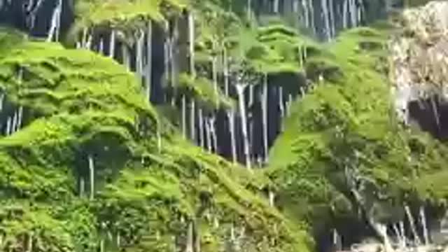 A waterfall hidden deep in Central china's zhangjagji