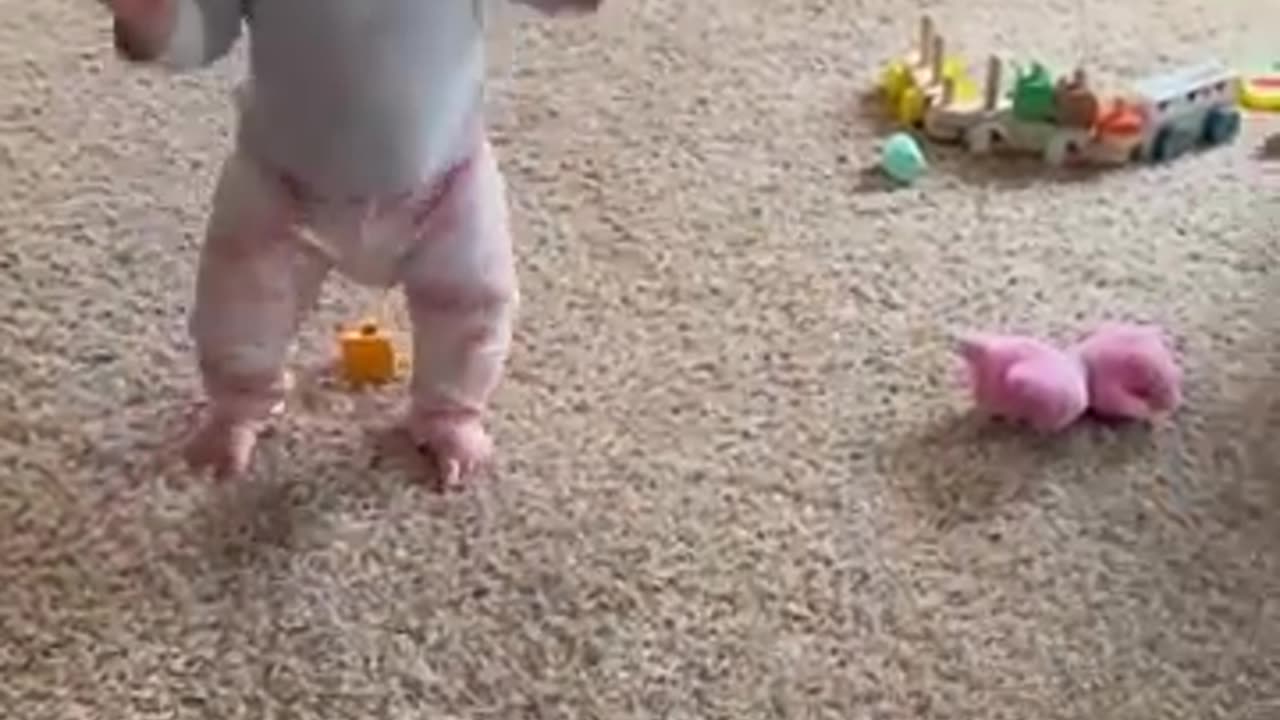 Adorable fluffy cat helps baby take first steps