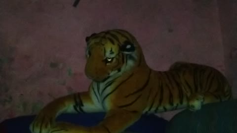 Tiger com from nepal national park