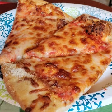 Meal, Mr. Cheese Pizza, Ford Rd, Dbn Hgts, MI, 8/16/23