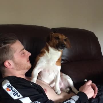 Puppy Is Not Sure How To React To Owner’s Raspberries