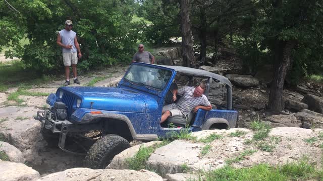 Blue Thunder YJ finding its way out of the garden