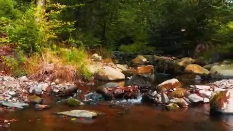 relaxation music for anxiety, feel happy and good life