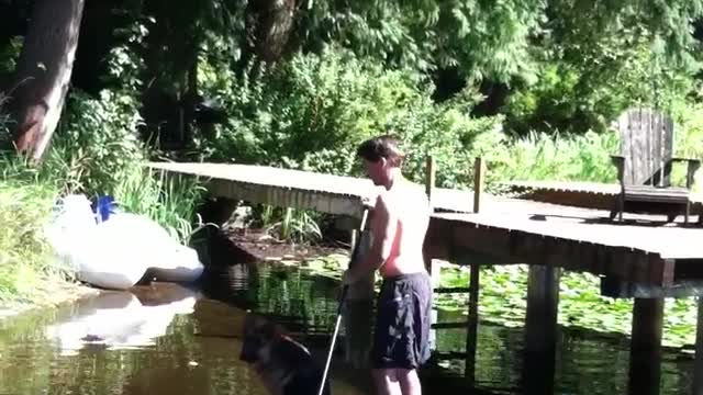 A German Shepherd Pushes His Owner Off The Paddle-Board