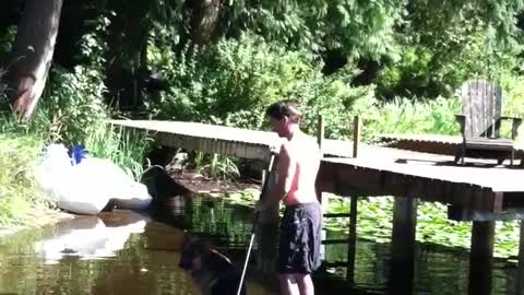 A German Shepherd Pushes His Owner Off The Paddle-Board