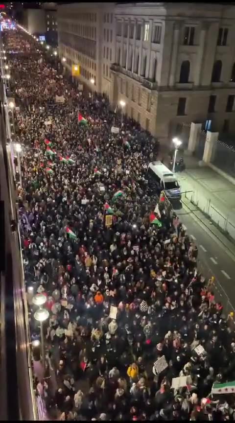 Rally against Siege of Gaza on Berlin, Germany