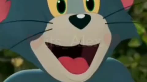 Tom Jerry Cartoon Status Videos, Downlaod Tom & Jerry Cartoon Funny Status Videos For Free