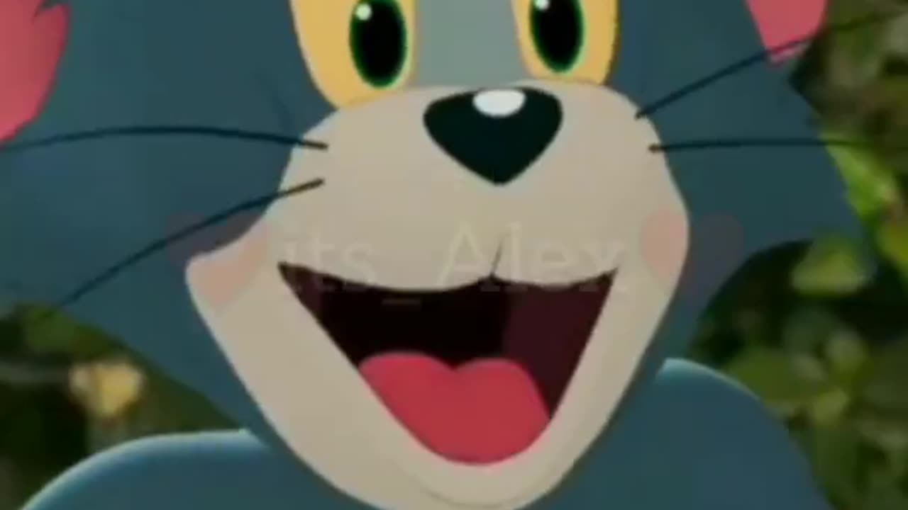 Tom Jerry Cartoon Status Videos, Downlaod Tom & Jerry Cartoon Funny Status Videos For Free
