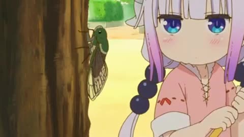 Collecting Insects-Kobayashi-san Chi no Maid Dragon S