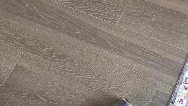 Bird Makes a Mess for Fun