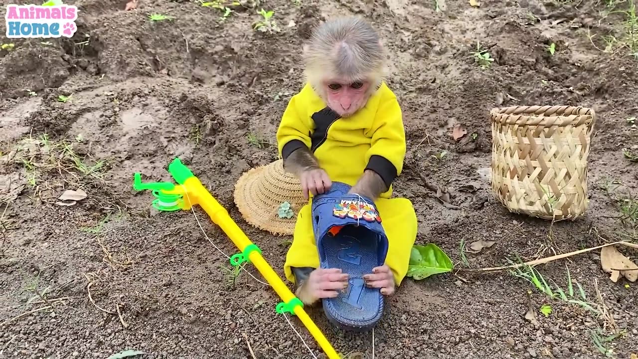 BiBi goes fishing to feed Ody cat