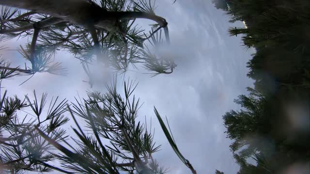 Gloom - FPV Freestyle