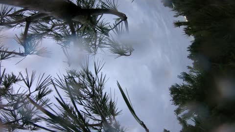 Gloom - FPV Freestyle