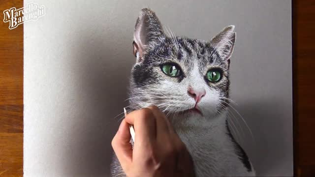 Draw A White Beard On The Kitten