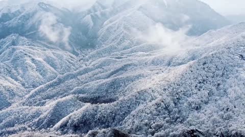 Qinling mountains