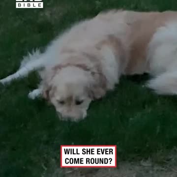 Rumour couldn't stay mad for too long 😅