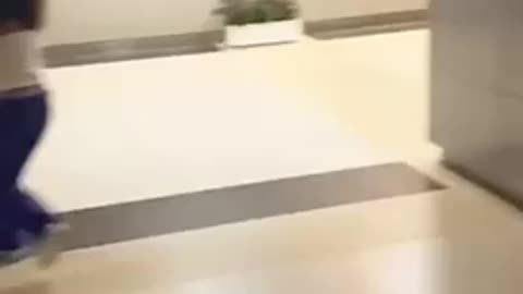 Funny tiktoks 01