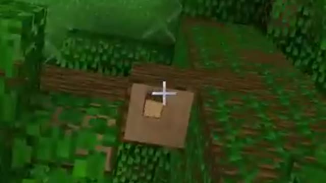 "Minecraft, But Upside Down"