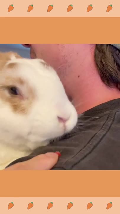 🐰BunnyVlog | bunny eatting raspberries | 토끼브이로그| 라즈베리 먹을래? | 연세 7세 번번