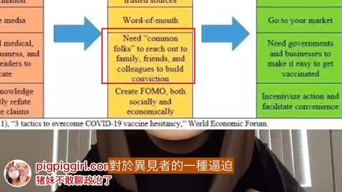 DS的認知作戰