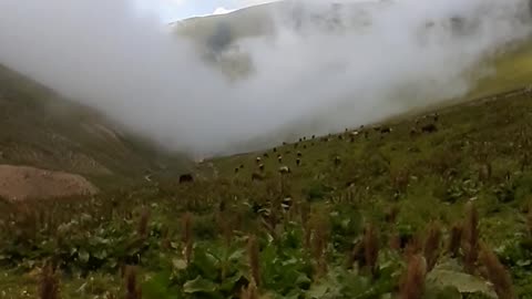 Watch how the fog disperses from the mountain.