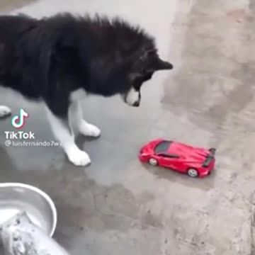 Rise of the Machines