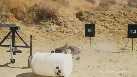 New Robot Makes Soldiers Obsolete (Bosstown Dynamics)