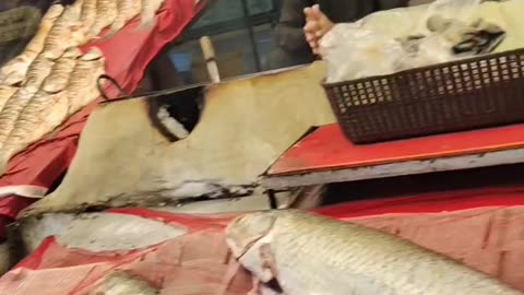 Fish #trending #viralvideo #foryou #razabhai78616 #followme