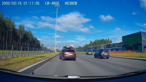 Rescuing Ducklings on the Highway