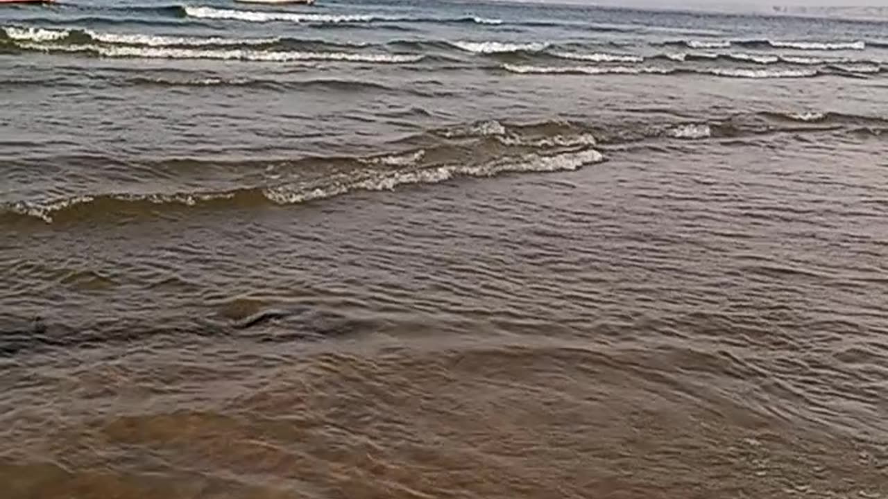In the sea....