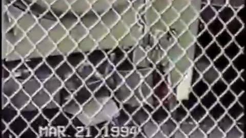 BANNED VIDEO! - AMERICA UNDER SIEGE! - 1994 - RARE FULL DOCUMENTARY