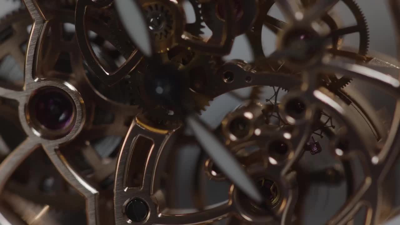 Franck Muller Vanguard Skeleton