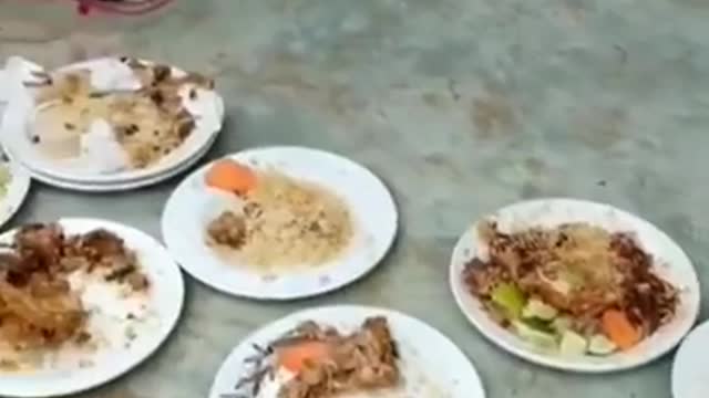 Don't Waste Food Please π₯Ίππ
