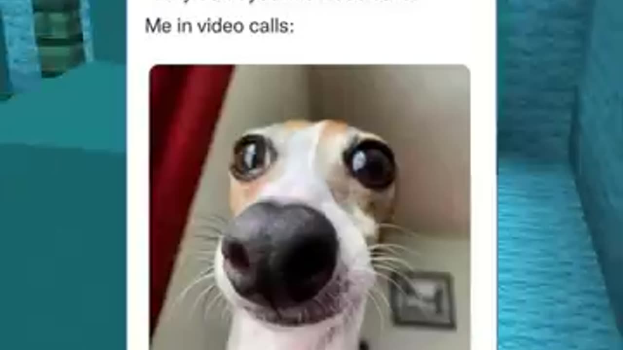 Funny memes u can relate with 🤣