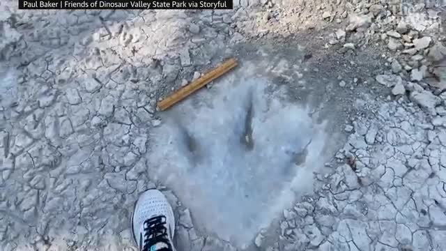 Dinosaur tracks revealed in Texas as severe drought dries up river