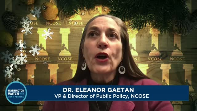 Eleanor Gaetan Shares What's Happening in Wis. Schools After Child Accessed Porn on School iPad