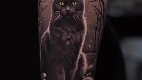 HAPPY HALLOWEEN! Beautiful Black Cat done by JOSE CONTRERAS.