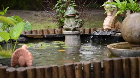 Relaxing Rain Sounds with the Singing Birds