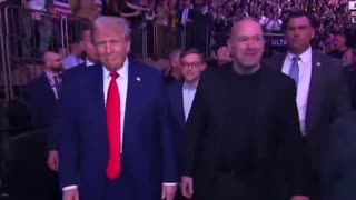 President Donald Trump, Elon Musk and Speaker Mike Johnson walk out to UFC 309