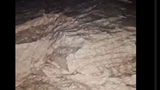 McDonald’s chicken, I’m not loving it!