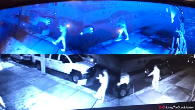 Caught Someone In The Act Stealing Trump Yard Sign