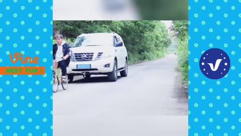 AWW Funny Video 2022