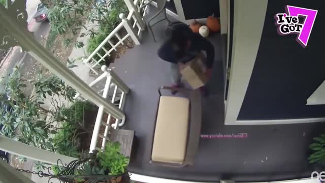 Most viewed instant karma videos