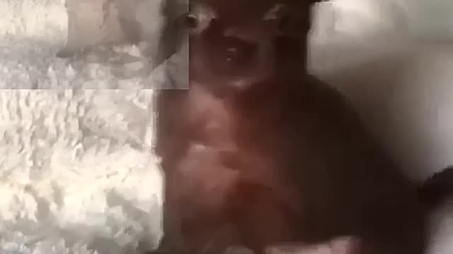 Got in circles! Look at this stunt