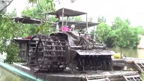 The boy who drove the plow up to the boat made everyone admire