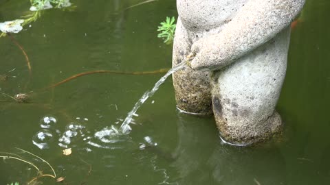 water _fountain