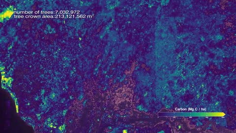 NASA Maps Carbon of 10 Billion Individual Trees