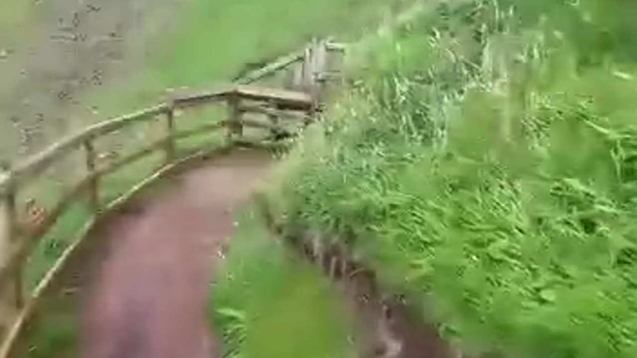 Forbidden Giants Causeway